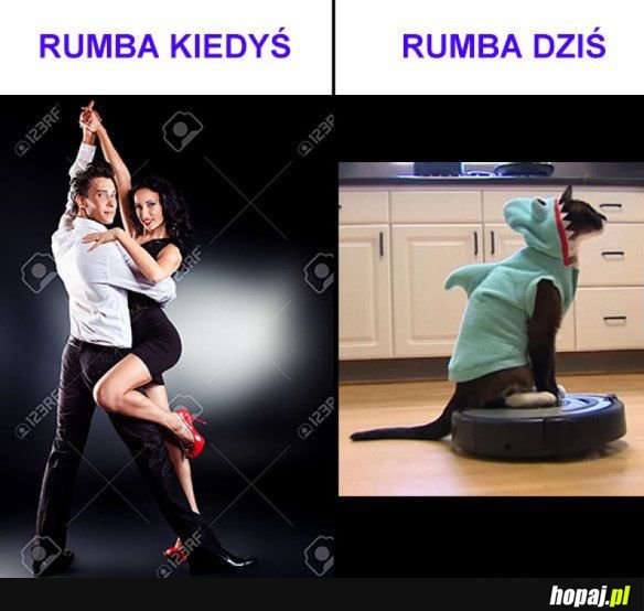 Rumba