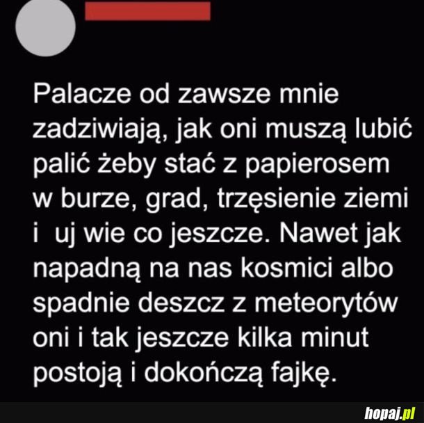 Zawsze jestem pod wrażeniem