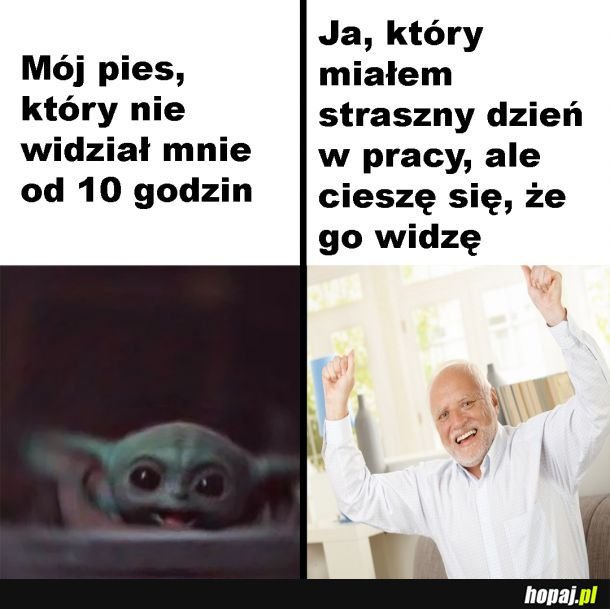 Radość