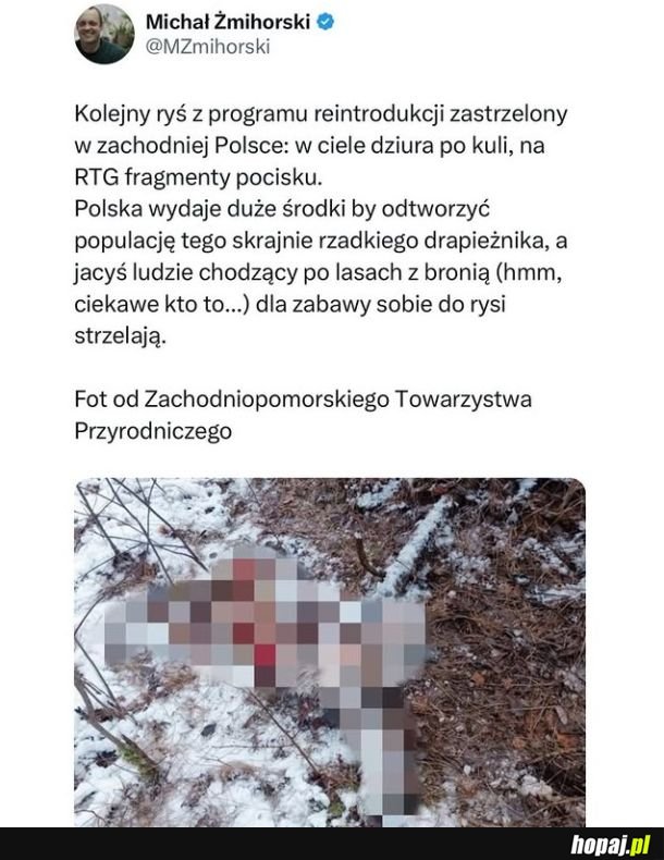 Myśliwi jak zwykle...