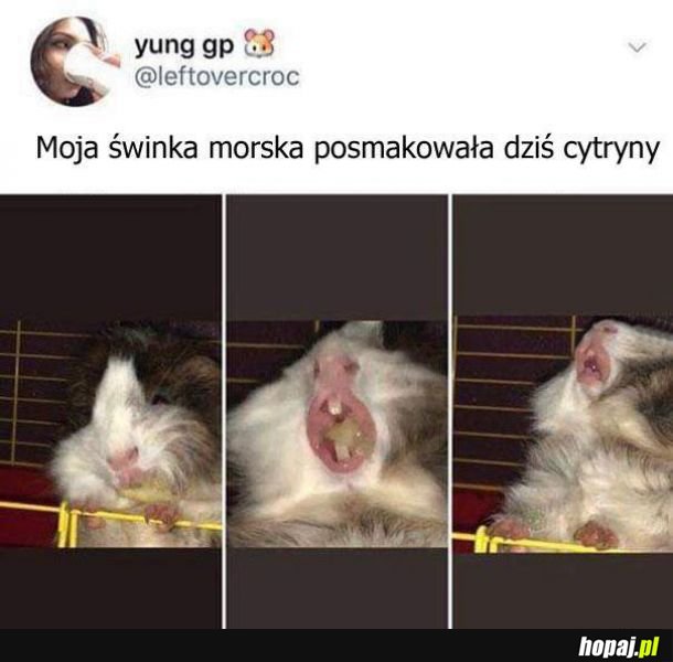 Raczej jej nie podeszła 