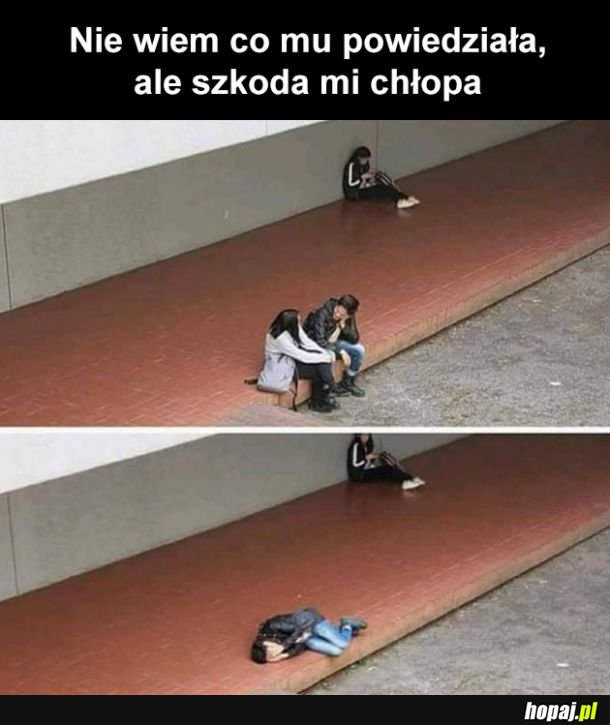 Szkoda typka