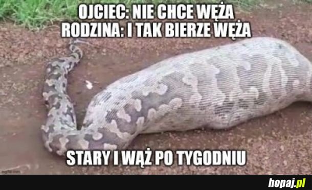 Ojciec i wąż