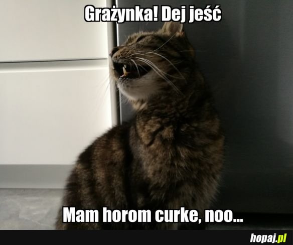 GRAŻYNKA. NO DEJ...