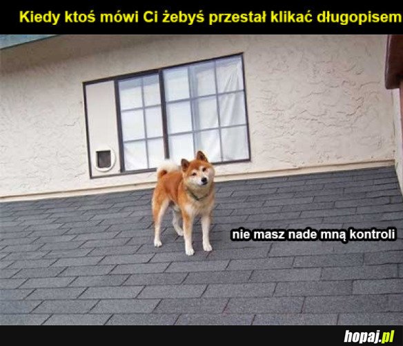 Poza kontrolą