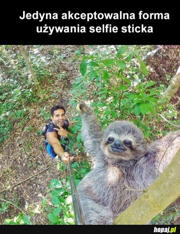 JEDYNA SŁUSZNA DROGA