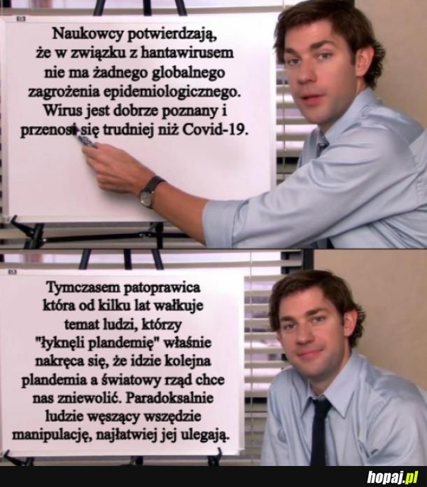 Pelikany do kwadratu :v