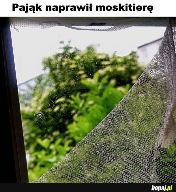 Przydał się 