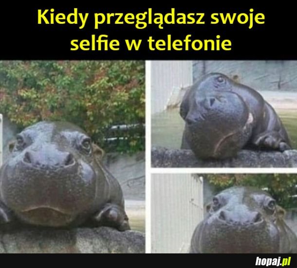 Pięknie wyszłam