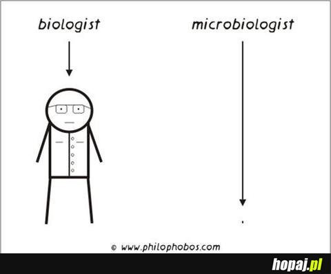 Biologist - microbiologist 