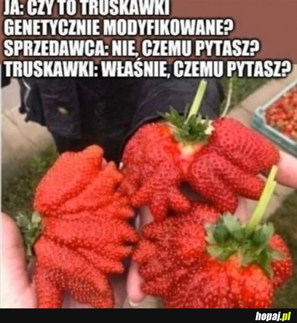 Paczta jakie to ciekawskie