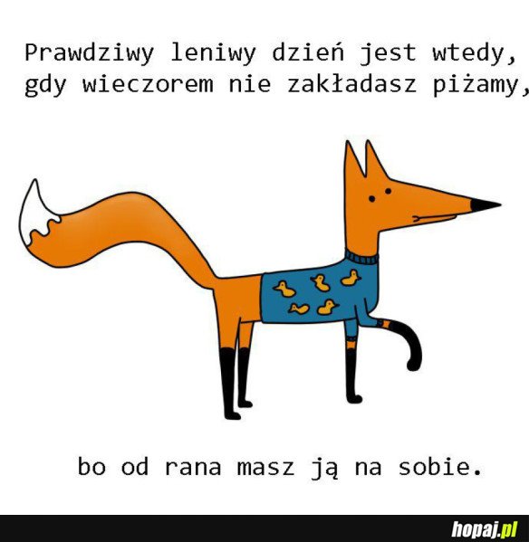 PRAWDZIWY LENIWY DZIEŃ