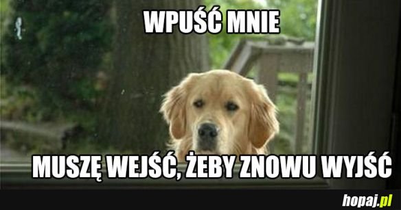 Wpuść mnie