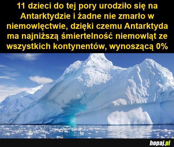 Dzieci na Antarktydzie