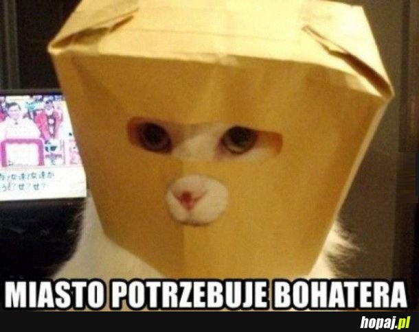 BEZ DWÓCH ZDAŃ