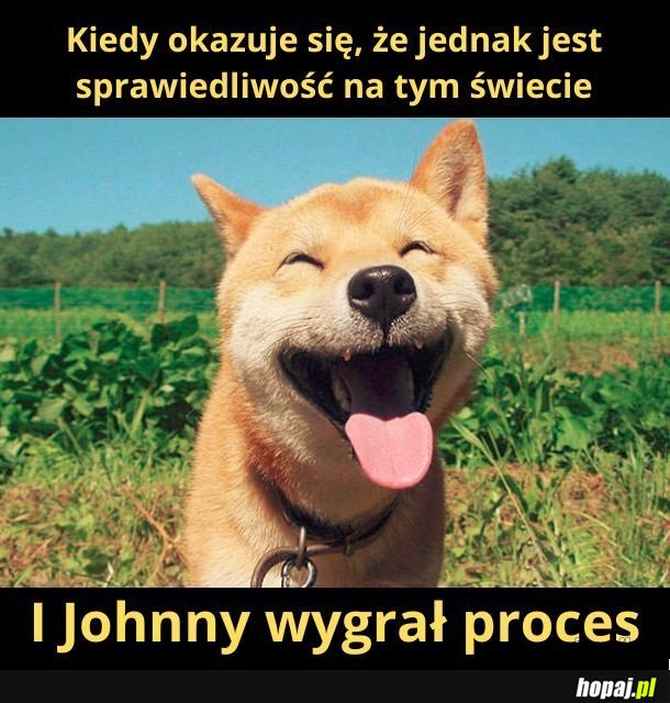 Gratulacje