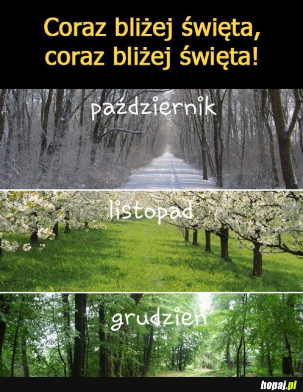 Coraz bliżej święta