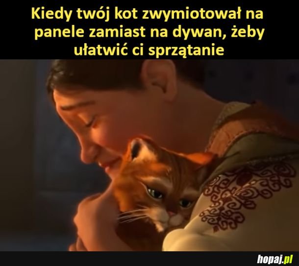 Dzięki ci kiciusiu