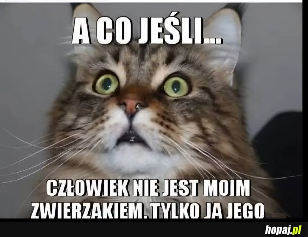 Co jeśli