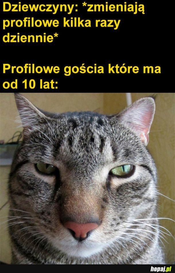 Fotka