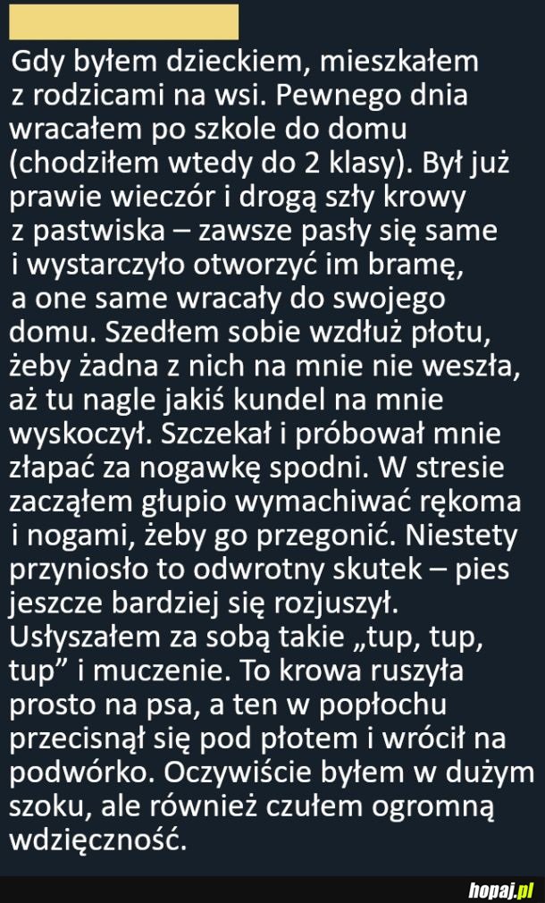 Niespodziewana pomoc