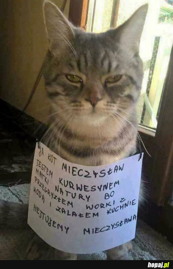 Brak nadziei na resocjalizację