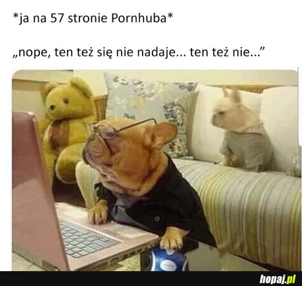 Za każdym razem