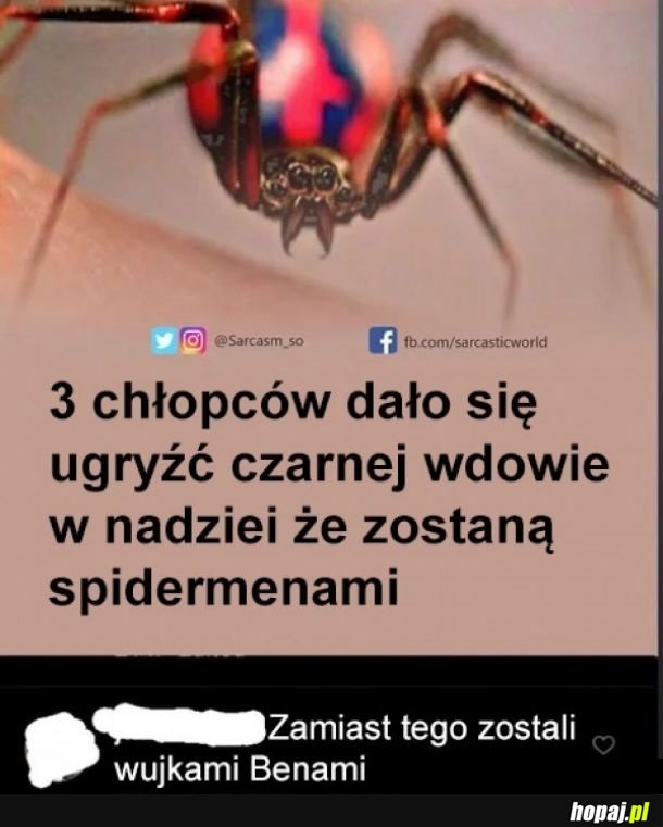 Spiderman