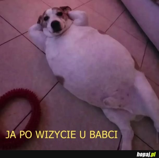 Zadzwoń do babci i powiedz ze jest super