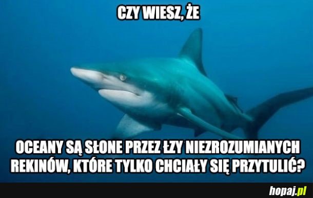 Czy wiesz, że