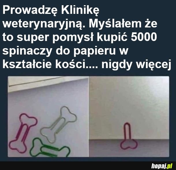  pomysły