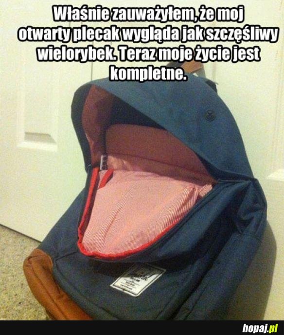 Wieloryb