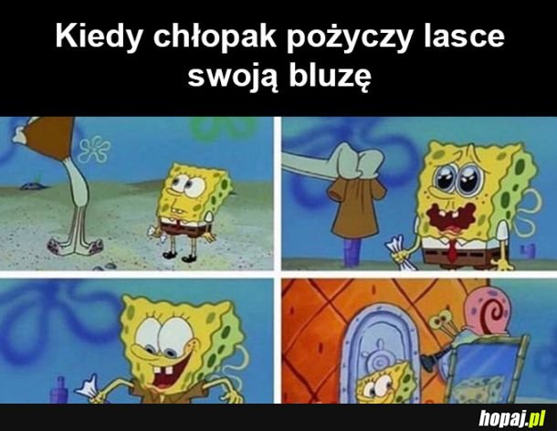 Laski tak mają 