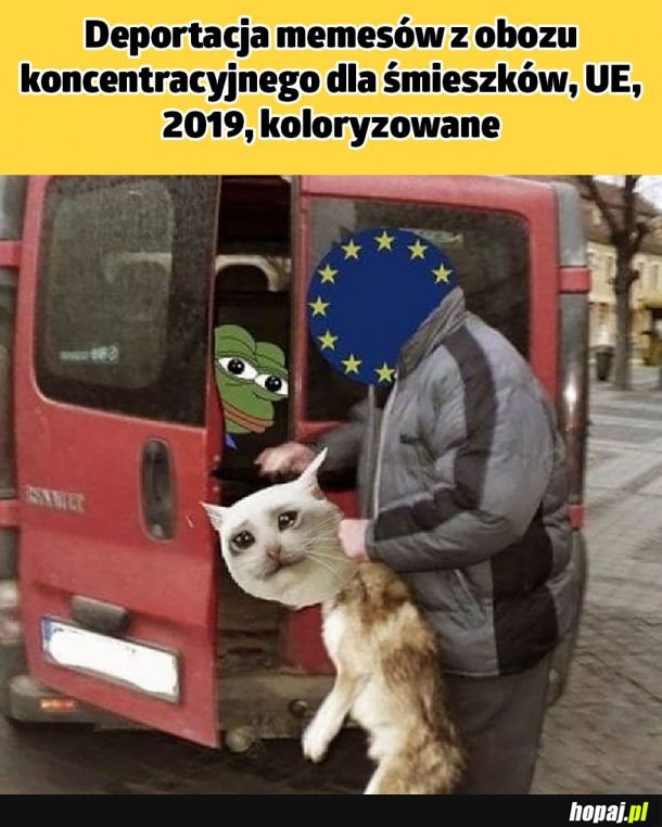 Żaba w pasiastej piżamie 