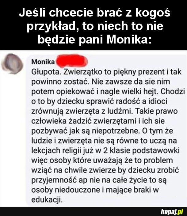 Madka jest oburzona, że nie może sprezentować dziecku zwierzaczka i się go później pozbyć...