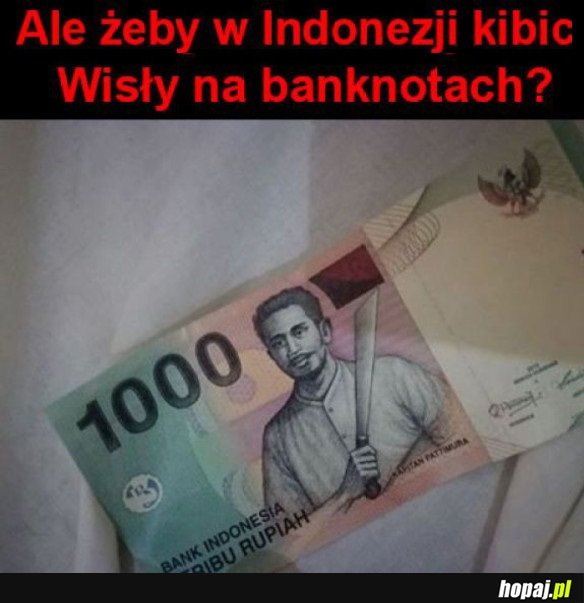 KIBIC WISŁY