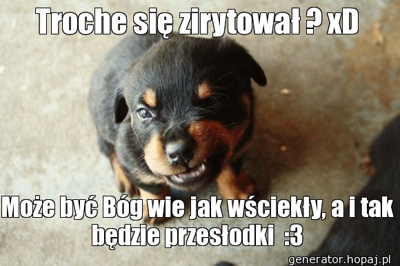 Troche się zirytował ? xD