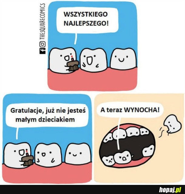 JESTEŚ JUŻ DOROSŁY