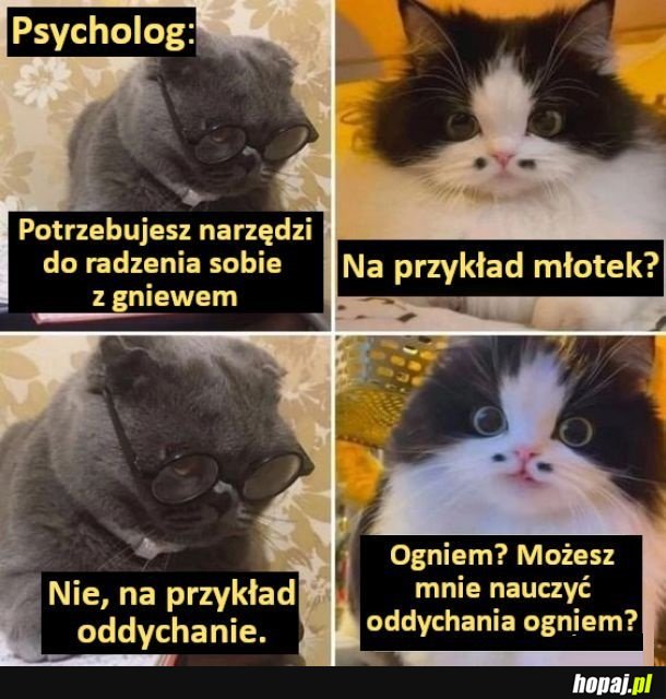 Psycholog