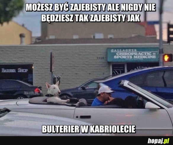 Nigdy takie nie będziesz!