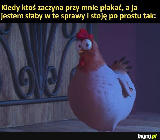 Jest jak jest