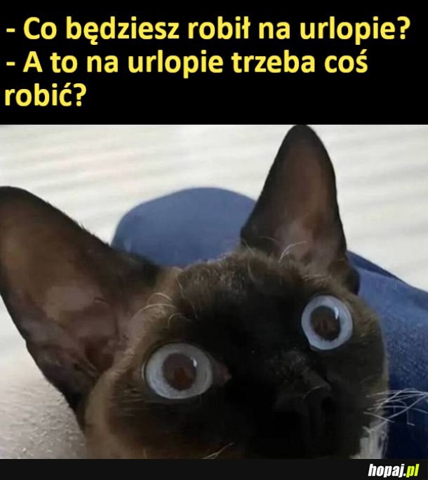 Będę leżał