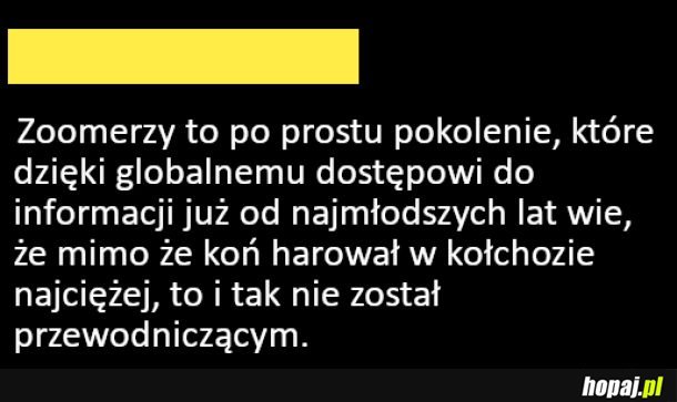 Zoomerzy od dziecka to wiedzą