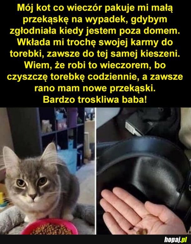 Niespodzianka