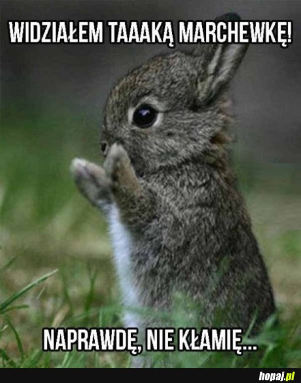NIE KŁAMIĘ