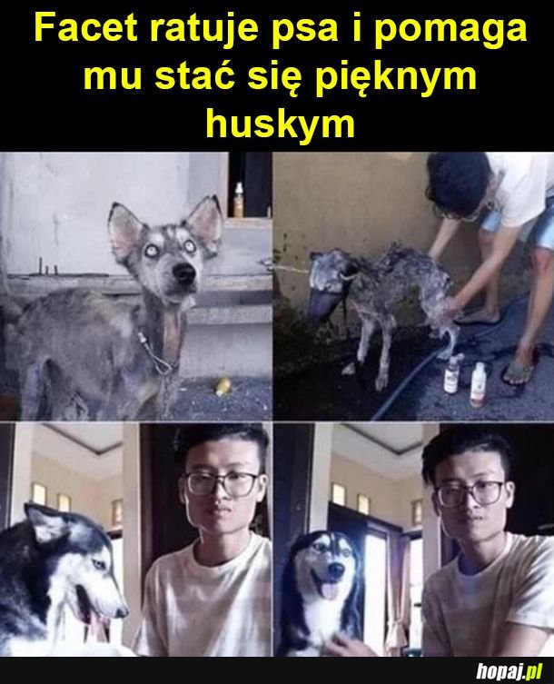 Człowiek Anioł