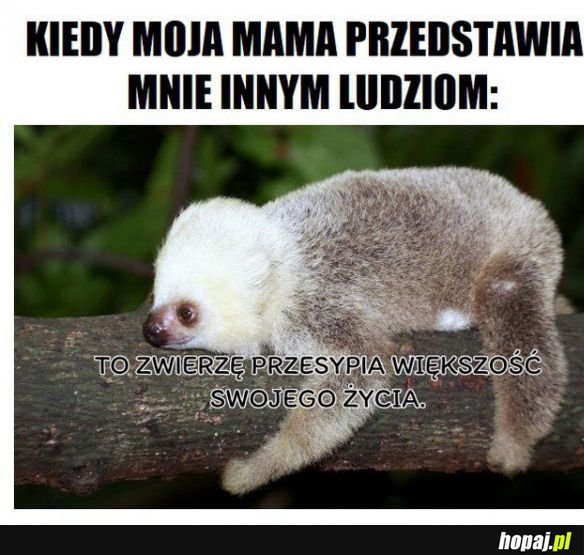 Kiedy mama przedstawia mnie znajomym