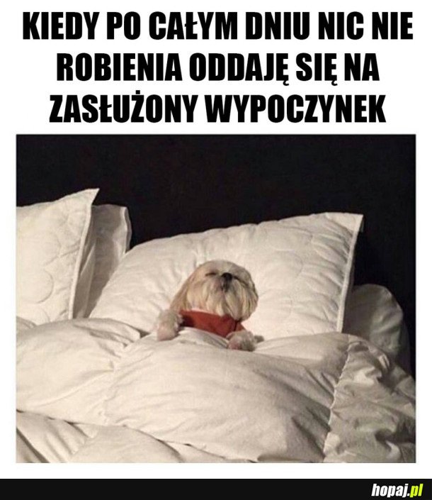 ZASŁUŻONY ODPOCZYNEK