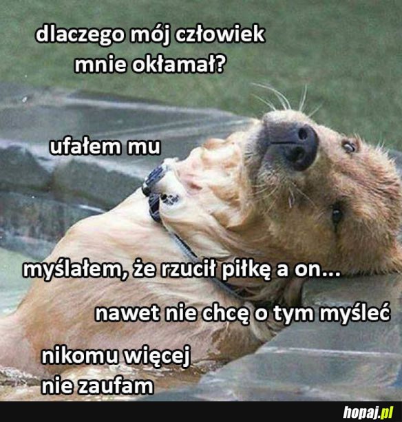 JAK TAK MOŻNA