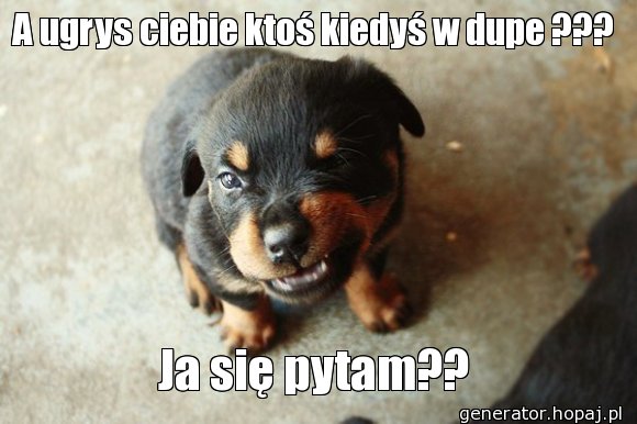 A ugrys ciebie ktoś kiedyś w dupe ???